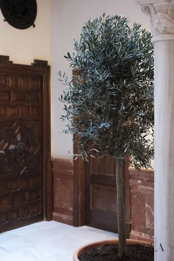 Luxury Apartment Para 4Pax En El Centro De Sevilla Spain