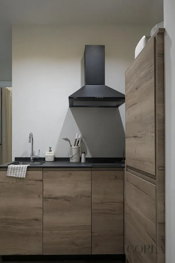Luxury Apartment Para 4Pax En El Centro De Sevilla  Seville